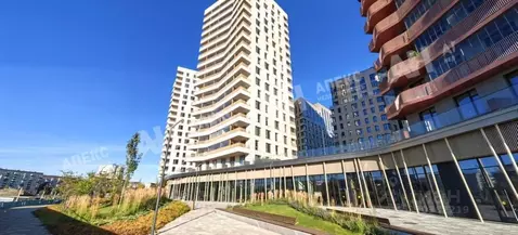 Помещение свободного назначения в Москва ул. Эдуарда Стрельцова, 2к1 ...