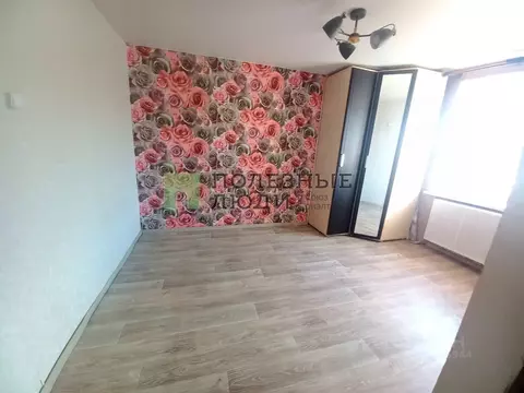 Студия Курганская область, Курган Станционная ул., 50 (24.5 м)