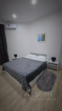 1-к кв. Ставропольский край, Ессентуки ул. Луначарского, 11 (45.0 м)