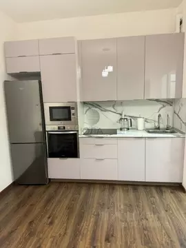 1-к кв. Ленинградская область, Кудрово г. Всеволожский район, ...