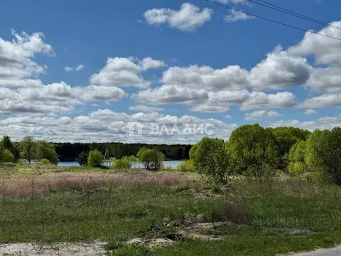 Участок в Калужская область, Дзержинский район, Дворцы с/пос, д. ...