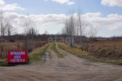 Участок в Калининградская область, Зеленоградский муниципальный округ, ...