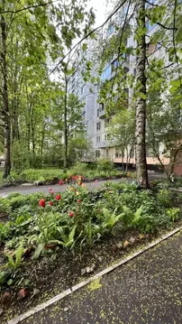 1-к кв. Санкт-Петербург Гражданский просп., 114К5 (30.7 м)