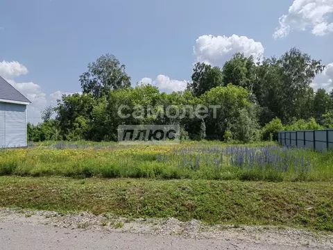 Участок в Алтайский край, Первомайский район, с. Фирсово Палитра жилой ...