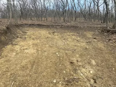 Участок в Краснодарский край, Анапа (56 м)