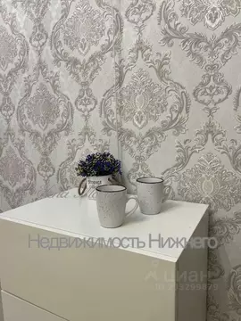 Студия Нижегородская область, Нижний Новгород д. Афонино, ул. Красная ...