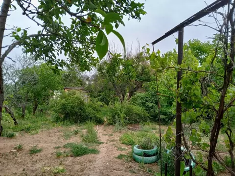 Дом в Волгоградская область, Волгоград Гидростроитель СНТ, ул. 5-я ...