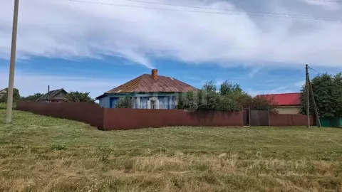 Участок в Башкортостан, Кушнаренковский район, Шариповский сельсовет, ...