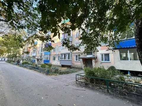 2-к кв. Пензенская область, Пенза ул. Карпинского, 13 (42.4 м)