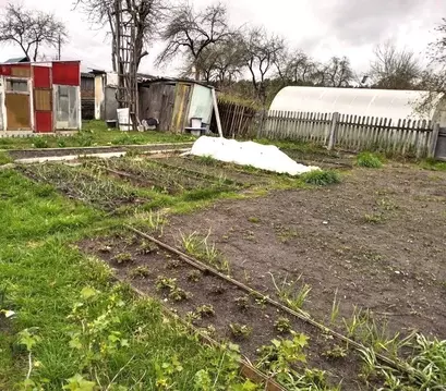 Дом в Брянская область, Фокино Мичуринец-1 садоводческое товарищество, ...