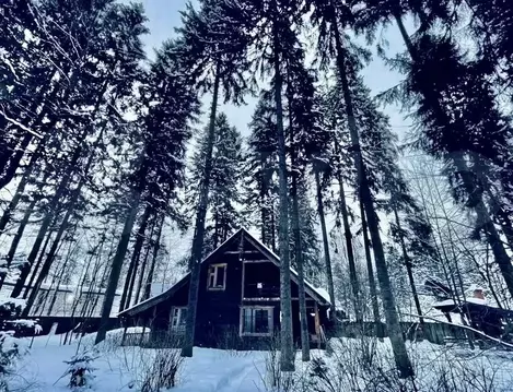 Дом в Московская область, Мытищи городской округ, пос. Трудовая ул. ...