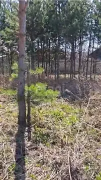 Участок в Свердловская область, Белоярский муниципальный округ, ...