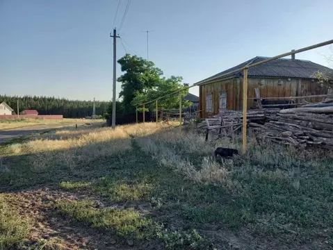 Дом в Воронежская область, Лискинский район, Петропавловское с/пос, с. ...