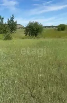 Участок в Саха (Якутия), Якутск  (10.16 сот.)