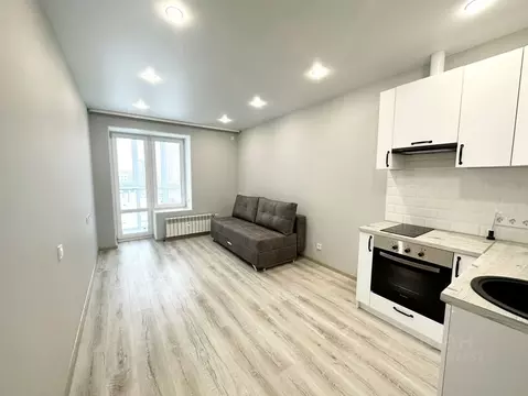 Студия Пензенская область, Пенза ул. Шмидта, 3 (26.0 м)