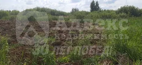 Участок в Тюменская область, Тюмень ул. Чайная (8.05 сот.)