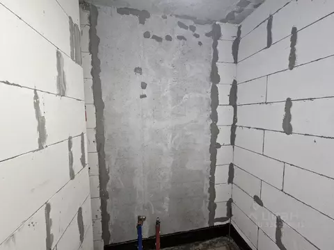 Студия Рязанская область, Рязань ул. Александра Полина, 3 (20.0 м)