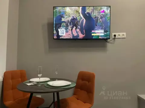 Студия Ростовская область, Таганрог Петровская ул., 43 (20.0 м)