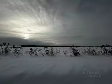 Участок в Московская область, Ступино городской округ, д. Благовское  ...