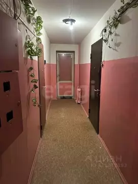 1-к кв. Ленинградская область, Волхов Ярвенпяя ул., 5а (28.3 м)