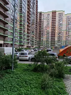 Студия Московская область, Красногорск городской округ, Путилково пгт ...