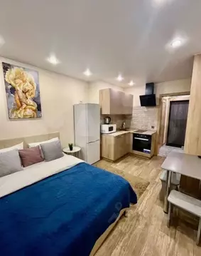 Студия Иркутская область, Иркутск ул. Пискунова, 148/4 (30.0 м)