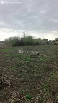 Участок в село Толмачёво, Берёзовая улица (755 м)