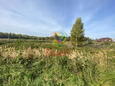 Участок в Ивановская область, Ивановский муниципальный округ, д. ...