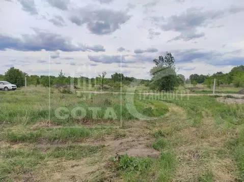 Участок в Воронежская область, Новоусманский район, с. Бабяково ...