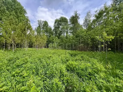 Участок в Ленинградская область, Выборгский район, Советское городское ...