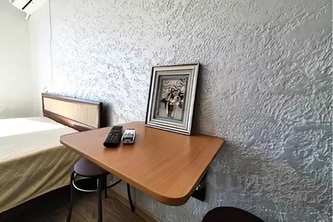 1-к кв. Приморский край, Владивосток просп. Красного Знамени, 133/2 ...