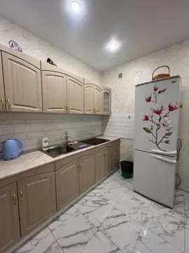 Студия Московская область, Можайск Локомотивная ул., 6 (40.0 м)