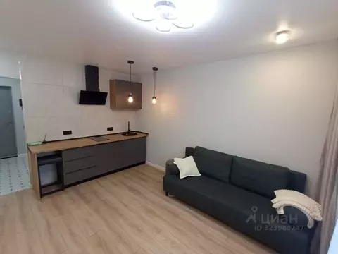 Студия Ленинградская область, Мурино Всеволожский район, ул. Графская, ...