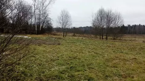 Участок в Московская область, Можайский муниципальный округ, д. ...