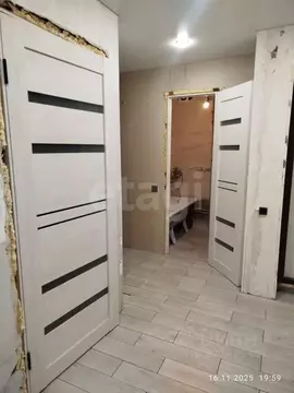 3-к кв. Челябинская область, Челябинск Мебельная ул., 85а (50.0 м)