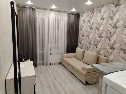 Студия Пензенская область, Пенза ул. Шмидта, 24 (21.0 м)