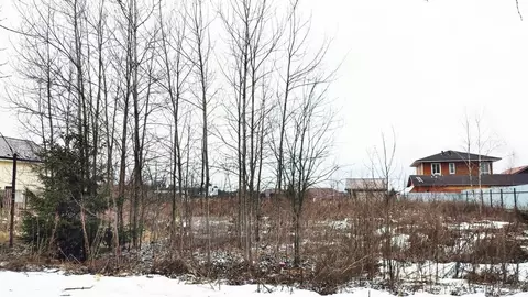 Участок в Московская область, Пушкинский городской округ, с. ...