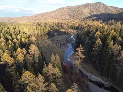 Участок в Алтай, Усть-Коксинский район, с. Банное  (32.0 сот.)