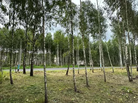 Участок в Московская область, Домодедово городской округ, с. Никитское ...