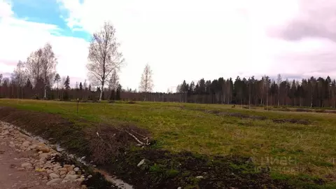 Участок в Ленинградская область, Приозерский район, Раздольевское ...