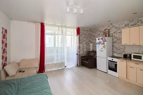 Студия Тюменская область, Тюмень ул. Тимофея Чаркова, 81 (27.7 м)