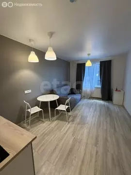 Квартира-студия: Санкт-Петербург, улица Салова, 61 (24.6 м)