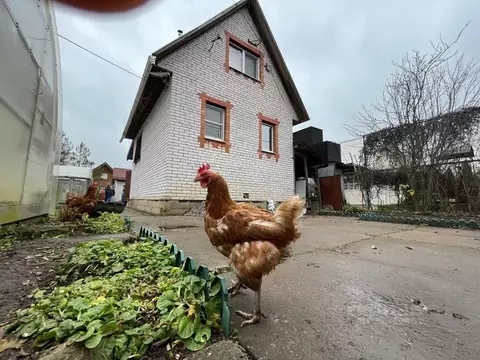 Дом в Ленинградская область, Гатчинский муниципальный округ, Березовая ...