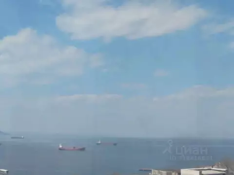 2-к кв. Приморский край, Владивосток ул. Леонова, 66 (70.0 м)