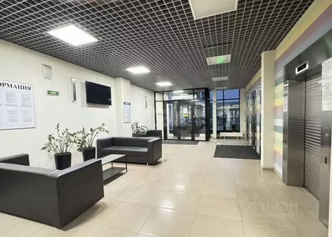 Студия Санкт-Петербург Пулковское ш., 14Д (29.0 м)