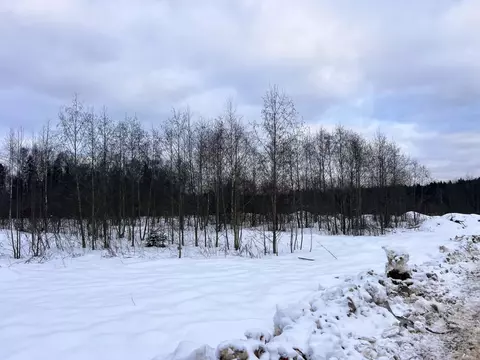 Участок в Московская область, Дмитровский муниципальный округ, ...