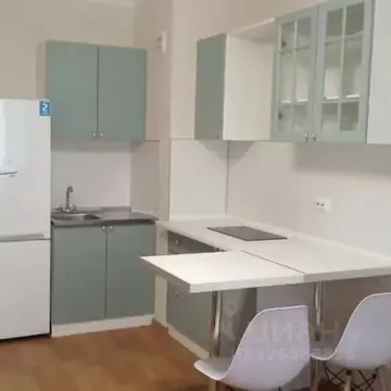 Студия Санкт-Петербург пос. Парголово, ул. Николая Рубцова, 3 (25.6 м)