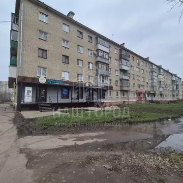 2-к кв. Тамбовская область, Тамбов Астраханская ул., 1/5 (47.8 м)