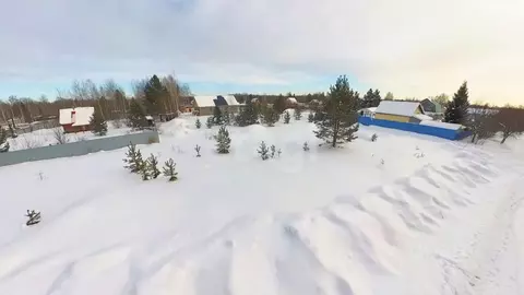 Участок в Тюменская область, Тюменский муниципальный округ, Нива СНТ ...