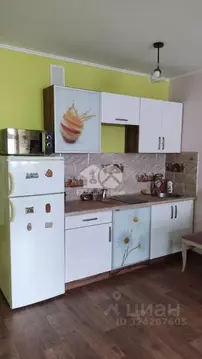 Студия Новосибирская область, Новосибирск ул. Фадеева, 66/9 (27.83 м)